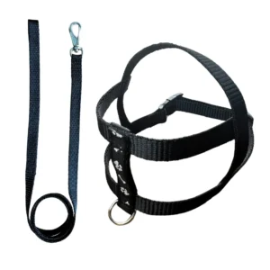 CONJUNTO GUIA PEITORAL AJUST. 3  ASTRA