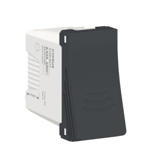 ORION MOD CIGARRA 127V GRAFITE S70878394  SCHNEIDER