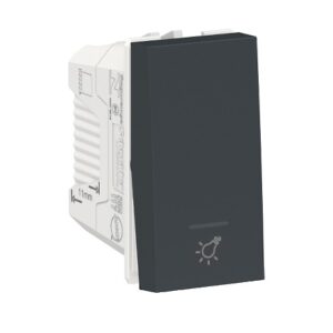 ORION MOD TECLA MINUT GRAFITE S70117694  SCHNEIDER