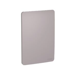 ORION PLACA 4x2 CEGA AXIS GREY S730100224  SCHNEIDER