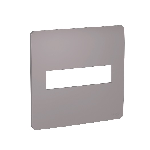 ORION PLACA 4x4 2MOD AXIS GREY S730201224 SCHNEIDER